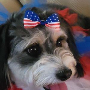 Meet your Posher, Stella